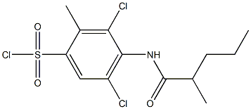 3,5-dichloro-2-methyl-4-(2-methylpentanamido)benzene-1-sulfonyl chloride Struktur