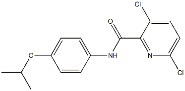 3,6-dichloro-N-[4-(propan-2-yloxy)phenyl]pyridine-2-carboxamide Struktur