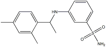 3-{[1-(2,4-dimethylphenyl)ethyl]amino}benzene-1-sulfonamide Struktur