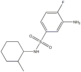 3-amino-4-fluoro-N-(2-methylcyclohexyl)benzene-1-sulfonamide Struktur