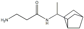 3-amino-N-(1-{bicyclo[2.2.1]heptan-2-yl}ethyl)propanamide Struktur