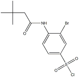 3-bromo-4-(3,3-dimethylbutanamido)benzene-1-sulfonyl chloride Struktur