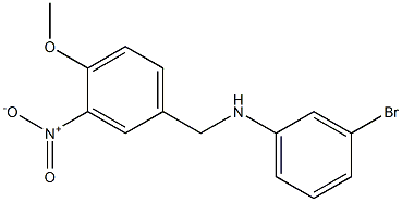 3-bromo-N-[(4-methoxy-3-nitrophenyl)methyl]aniline Struktur