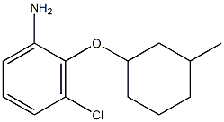 3-chloro-2-[(3-methylcyclohexyl)oxy]aniline Struktur