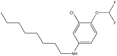 3-chloro-4-(difluoromethoxy)-N-octylaniline Struktur