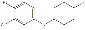 3-chloro-4-fluoro-N-(4-methylcyclohexyl)aniline Struktur