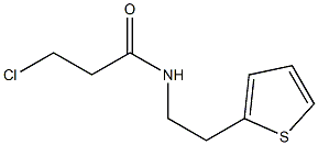 3-chloro-N-(2-thien-2-ylethyl)propanamide Struktur