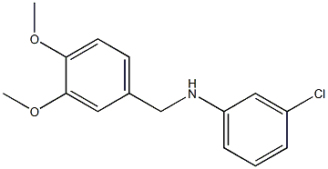 3-chloro-N-[(3,4-dimethoxyphenyl)methyl]aniline Struktur