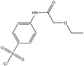 4-(2-ethoxyacetamido)benzene-1-sulfonyl chloride Struktur