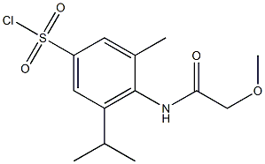 4-(2-methoxyacetamido)-3-methyl-5-(propan-2-yl)benzene-1-sulfonyl chloride Struktur