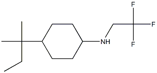 4-(2-methylbutan-2-yl)-N-(2,2,2-trifluoroethyl)cyclohexan-1-amine Struktur