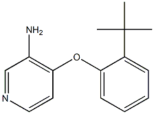 4-(2-tert-butylphenoxy)pyridin-3-amine Struktur