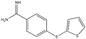 4-(thiophen-2-ylsulfanyl)benzene-1-carboximidamide Struktur