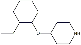 4-[(2-ethylcyclohexyl)oxy]piperidine Struktur