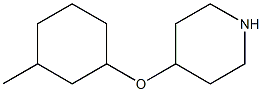 4-[(3-methylcyclohexyl)oxy]piperidine Struktur