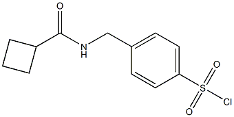 4-{[(cyclobutylcarbonyl)amino]methyl}benzenesulfonyl chloride Struktur