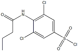 4-butanamido-3,5-dichlorobenzene-1-sulfonyl chloride Struktur