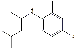 4-chloro-2-methyl-N-(4-methylpentan-2-yl)aniline Struktur