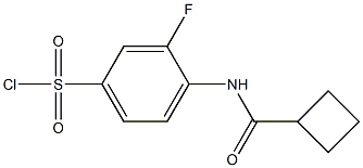 4-cyclobutaneamido-3-fluorobenzene-1-sulfonyl chloride Struktur