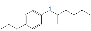 4-ethoxy-N-(5-methylhexan-2-yl)aniline Struktur