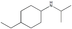 4-ethyl-N-(propan-2-yl)cyclohexan-1-amine Struktur