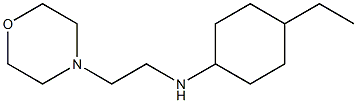 4-ethyl-N-[2-(morpholin-4-yl)ethyl]cyclohexan-1-amine Struktur