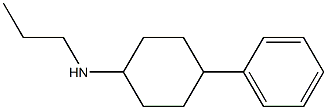 4-phenyl-N-propylcyclohexan-1-amine Struktur