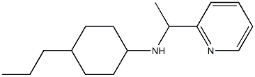 4-propyl-N-[1-(pyridin-2-yl)ethyl]cyclohexan-1-amine Struktur