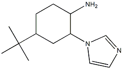 4-tert-butyl-2-(1H-imidazol-1-yl)cyclohexanamine Struktur