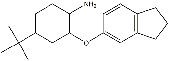 4-tert-butyl-2-(2,3-dihydro-1H-inden-5-yloxy)cyclohexan-1-amine Struktur