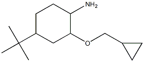 4-tert-butyl-2-(cyclopropylmethoxy)cyclohexan-1-amine Struktur