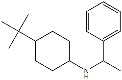 4-tert-butyl-N-(1-phenylethyl)cyclohexan-1-amine Struktur