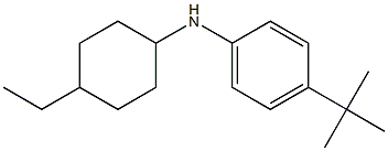 4-tert-butyl-N-(4-ethylcyclohexyl)aniline Struktur