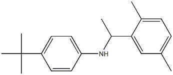 4-tert-butyl-N-[1-(2,5-dimethylphenyl)ethyl]aniline Struktur