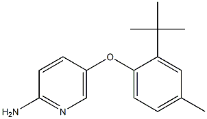 5-(2-tert-butyl-4-methylphenoxy)pyridin-2-amine Struktur