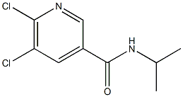 5,6-dichloro-N-(propan-2-yl)pyridine-3-carboxamide Struktur