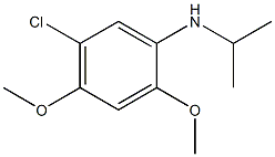 5-chloro-2,4-dimethoxy-N-(propan-2-yl)aniline Struktur