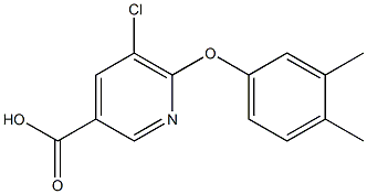 5-chloro-6-(3,4-dimethylphenoxy)pyridine-3-carboxylic acid Struktur