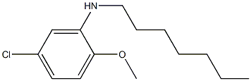 5-chloro-N-heptyl-2-methoxyaniline Struktur