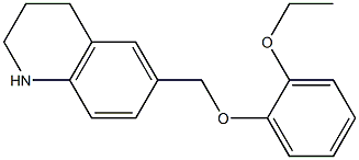 6-(2-ethoxyphenoxymethyl)-1,2,3,4-tetrahydroquinoline Struktur