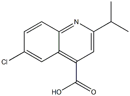 6-chloro-2-(propan-2-yl)quinoline-4-carboxylic acid Struktur