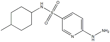 6-hydrazinyl-N-(4-methylcyclohexyl)pyridine-3-sulfonamide Struktur