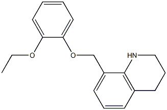 8-(2-ethoxyphenoxymethyl)-1,2,3,4-tetrahydroquinoline Struktur