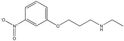 ethyl[3-(3-nitrophenoxy)propyl]amine Struktur