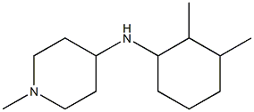 N-(2,3-dimethylcyclohexyl)-1-methylpiperidin-4-amine Struktur