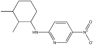 N-(2,3-dimethylcyclohexyl)-5-nitropyridin-2-amine Struktur