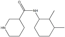 N-(2,3-dimethylcyclohexyl)piperidine-3-carboxamide Struktur