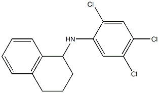 N-(2,4,5-trichlorophenyl)-1,2,3,4-tetrahydronaphthalen-1-amine Struktur