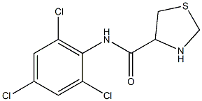 N-(2,4,6-trichlorophenyl)-1,3-thiazolidine-4-carboxamide Struktur