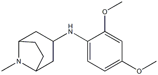 N-(2,4-dimethoxyphenyl)-8-methyl-8-azabicyclo[3.2.1]octan-3-amine Struktur